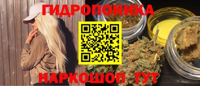 стафф Гай