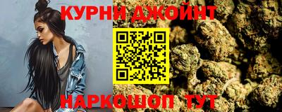 стафф Гай