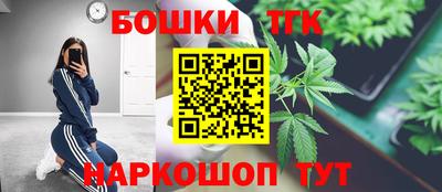 стафф Гай