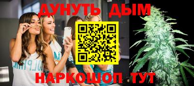 стафф Гай